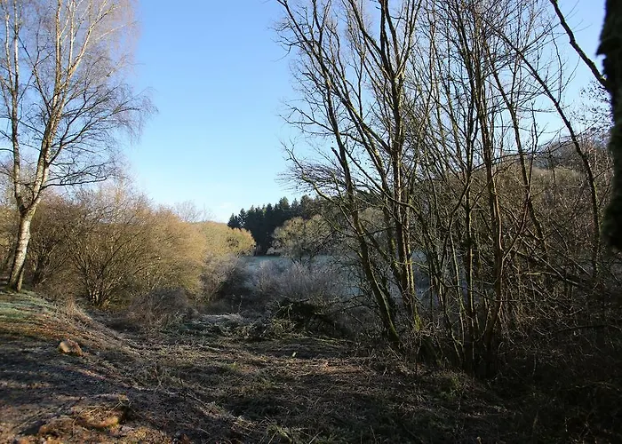 Gasthaus-pension Islekhoehe Gansen Krautscheid